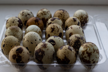 Obraz premium Quail eggs in a transparent plastic container on a white background. Close-up, white background. Eggs in speckled plastic container.