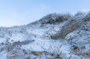 Snow background. Winter composition. Snow covered grass. Grass against the sky.