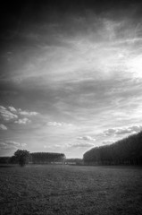 countryside landscape with trees and clouds, black and white