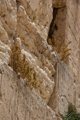 Western Wall, Jerusalem