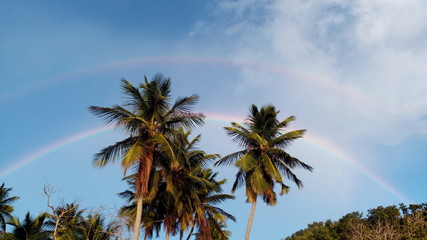 Fototapeta na wymiar palm trees and rainbow sky crash boat beach AGUADILLA Puerto Rico