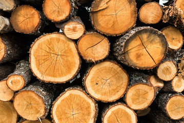 Wood logs for sale use in fire place at home stored on forest woods green biomass energy