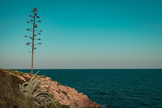 On the top of a mediterranean cliff
