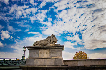 Obraz premium Lion statue in The Chain Bridge (Szechenyi Lanchid) at Budapest. Budapest, Hungary.