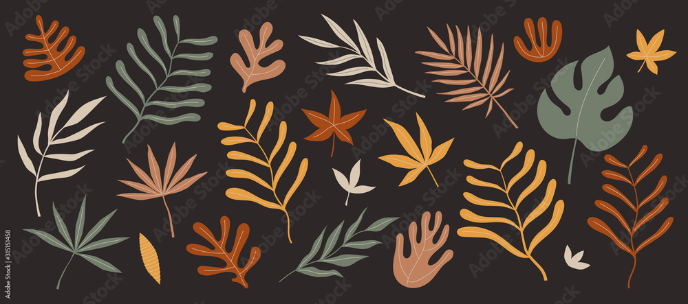 Aufkleber set of exotic palm leaves of various shapes and sizes vector illustration on a dark background. trop