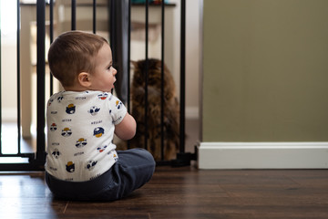 Baby boy sitting in front of a baby gate with cat on other side