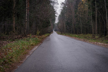 Obraz premium Green City