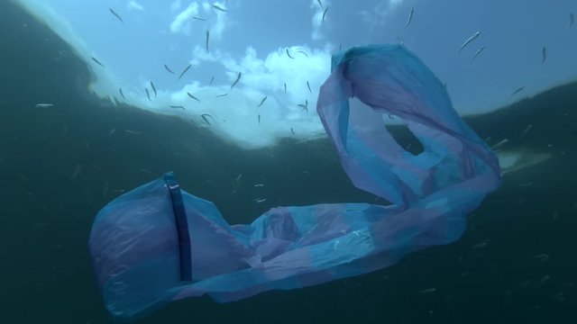 Plastic pollution, used blue bag and school of Sand Smelt swims under surface of water on background blue sky with clouds.  Plastic garbage environmental pollution problem in the Black Sea, Ukraine