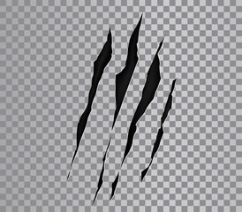 Claw marks of a monster or wild beast. Claws scratches. Animals paws, attack tracks. vector scratches on transparent background