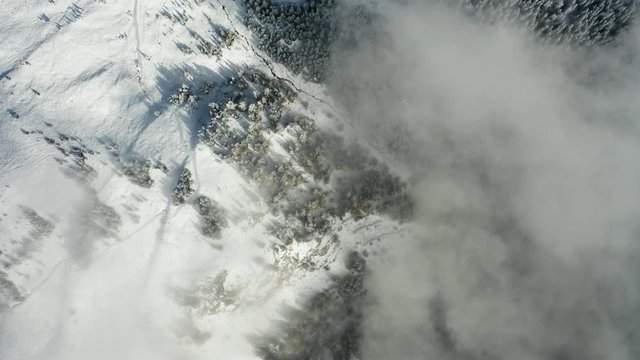 Aerial view of a forest covered with fresh snow and clouds in the Aletsch Arena area. Switzerland in the fall