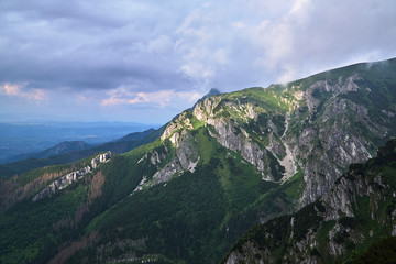 Fototapeta na wymiar A mountain slope with a mountain pine and limestone rocks in the mountains Tatry in Poland..