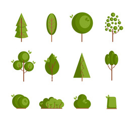 Set of different cartoon trees on a white background. Element for ecology or nature logo. Vector illustration