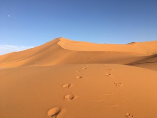 Fototapeta na wymiar Sahara Marokko