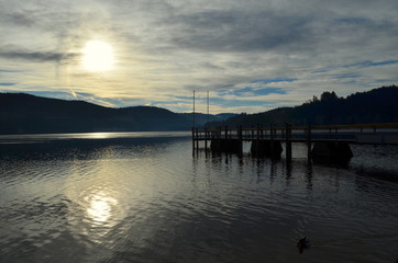 Ufer des Titisees im Gegenlicht