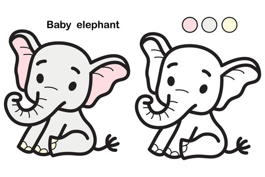  Colorful Happy elephant coloring for children 