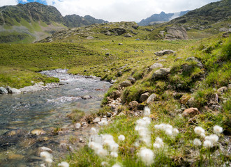 Fototapeta na wymiar Gebirgsfluss in Österreich Alpen mit grünen Wiesen und Sonnenschein