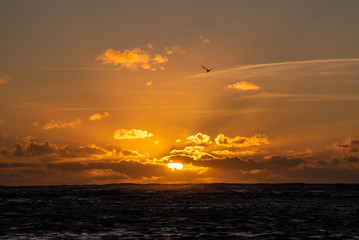 Tropical orange sunset over the ocean