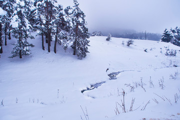 Snow covered hills, paths and trees, Abant Turkey