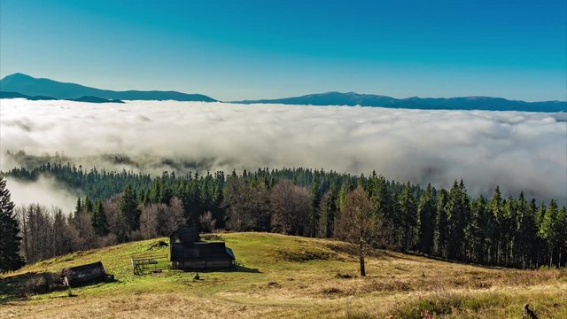 Carpathian mountains in fog waves top view