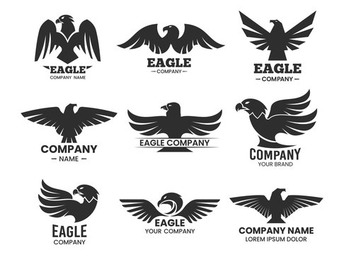 Eagle or falcon black silhouettes for branding