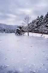 Frozen lake, small forest, house and park in snow season, Abant Bolu Turkey