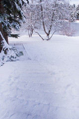 Snow covered hills, paths and trees, Abant Turkey
