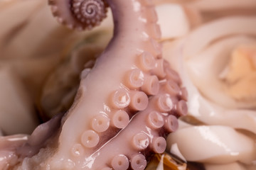 wet shiny octopus tentacles, seafood in a jar, macro photography