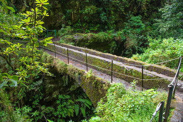 Obraz premium Hiking path on the Levada do Caldeirao Verde near Santana on the island of Madeira in Portugal.