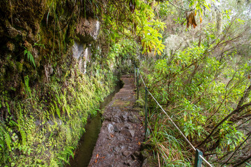 Hiking path on the Levada do Caldeirao Verde near Santana on the island of Madeira in Portugal.