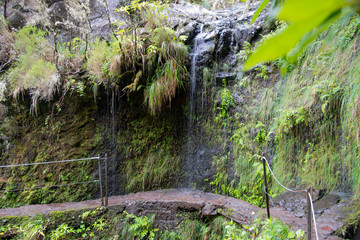 Hiking path on the Levada do Caldeirao Verde near Santana on the island of Madeira in Portugal.