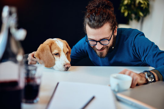 Cheerful Smiling Handsome Caucasian Man Sitting In His Office And Playing With His Dog.