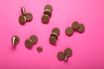 Tasty chocolate cookies on color background