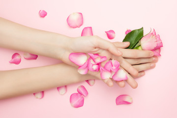 Obraz na płótnie Canvas International Womans day and Happy Valentines, Mothers day concept. The woman hands hold rose flowers on a pink background. A thin wrist and natural manicure.