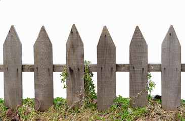 Naklejka premium Isolated old wooden fence with plants foreground, white background