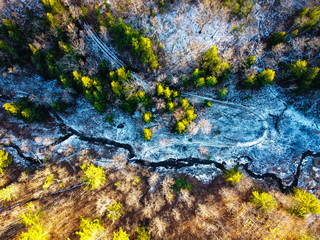 Drone shot from above of trees and pathways in winter