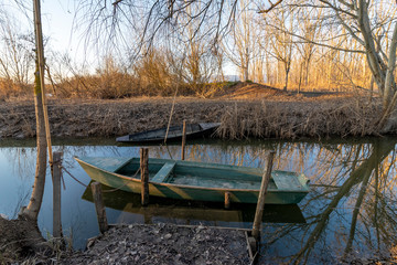 Fototapeta premium Typical wooden boats of the wetland known as Padule di Fucecchio, Porto delle Morette, Tuscany, Italy