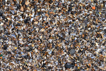 Small stones and shells texture, background