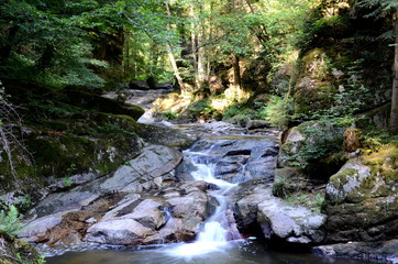 Pesenbachtal in Upper Austria