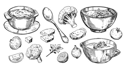 Vegetable soup. Hand drawn illustration converted to vector - obrazy, fototapety, plakaty