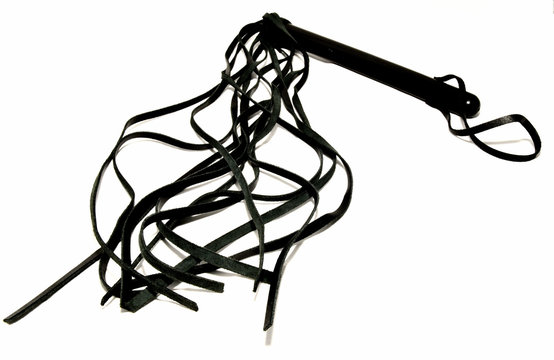 Frusta fotografata su sfondo bianco