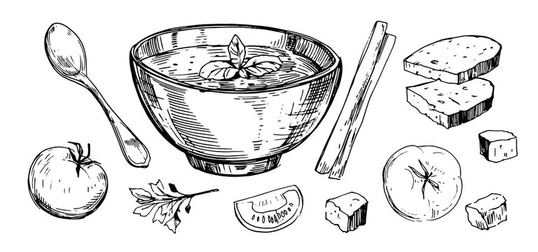 Vegetable soup. Hand drawn illustration converted to vector