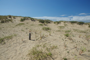 plage de la faute sur mer