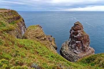 Rocher de la Fauconnière, Cap Fréhel, Chemin des douaniers, GR34, Fréhel, La Latte,...