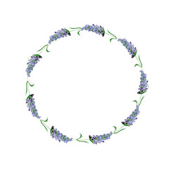Watercolor. Lavender flowers in a round frame. Botanical illustration. Collection of lavender flowers on a white background for design of cards