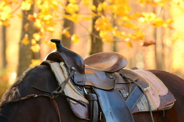 Western saddle on the horses back on bright yellow autumn background of leaves