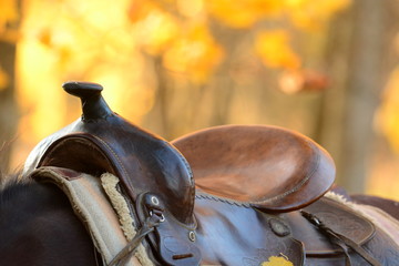 Western saddle on the horses back on bright yellow autumn background of leaves