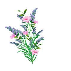 Watercolor. Bouquet of lavender and pink flowers. Botanical painting. For design cards