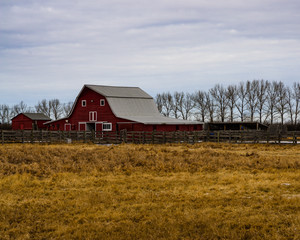 Obraz premium Red Barn