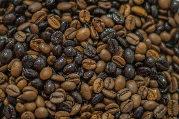 Granos de café mezcla de tueste natural y torrefacto
