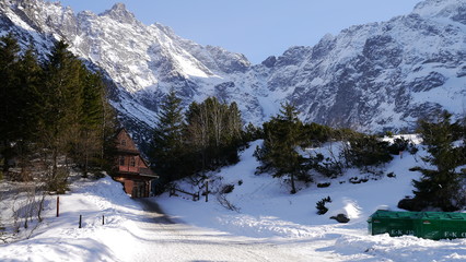 Górska panorama, widok na zaśnieżone szczyty gór, skały i las © Marcin
